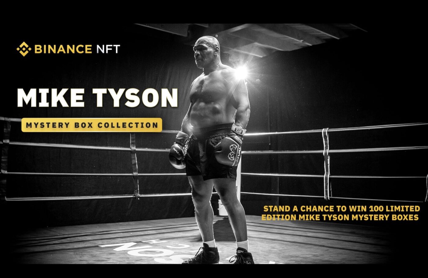 Mike Tyson digital collectible campaign delivered through N3ON Sports and Binance